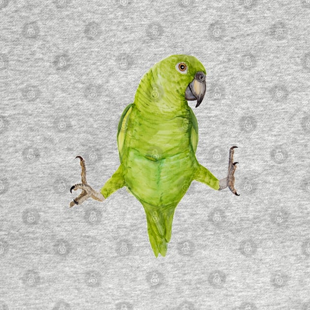 Green amazon parrot bresil bird tropical watercolor by Oranjade0122